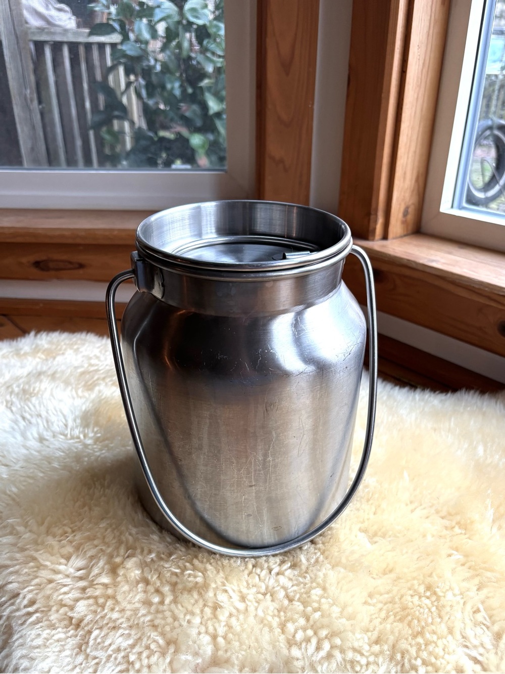 Stainless Milking Pail